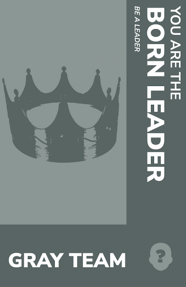 Born Leader image